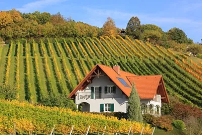 Toy jigsaw puzzle