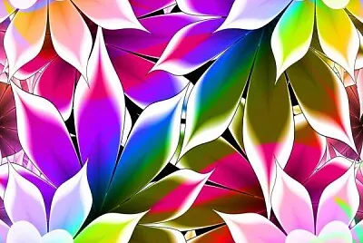 colorful