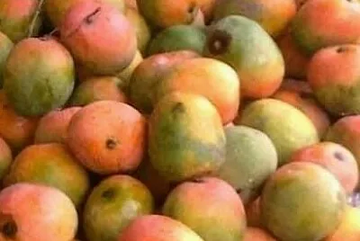 Mangos