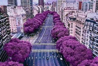 Buenos Aires jigsaw puzzle
