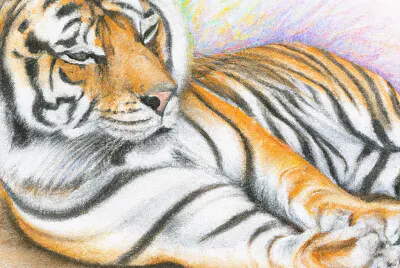 Colorful Pencil Drawing of Detailed Animal