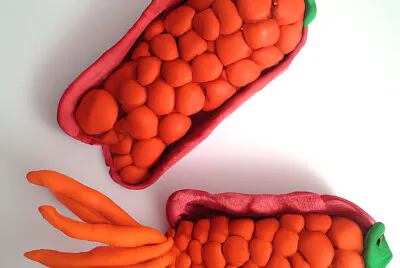 Shoes Design Made of Carrots