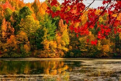 autumn 282