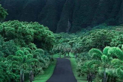 Hawaii jigsaw puzzle