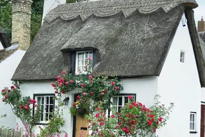 Victoria House jigsaw puzzle