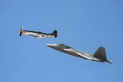 Toy