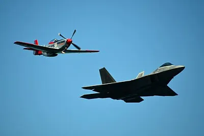 Toy