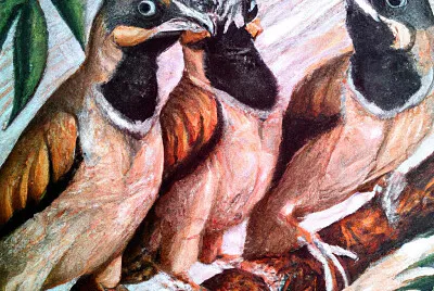 3 Birds
