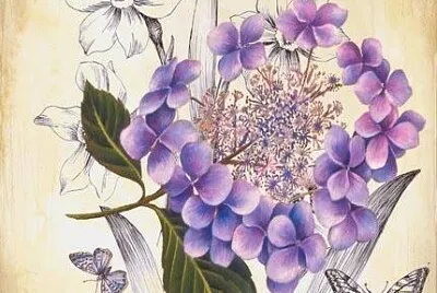 flores violeta