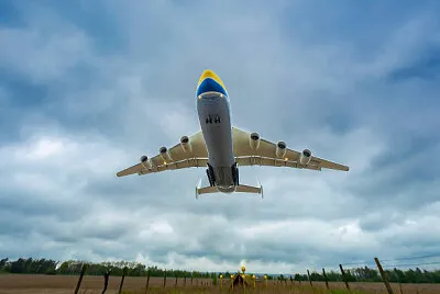 Toy