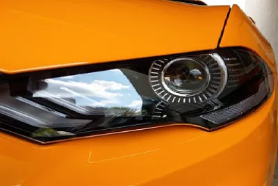 Toy