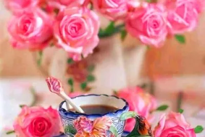 taza