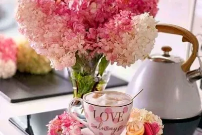 taza