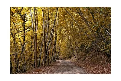 Jaizquibel jigsaw puzzle