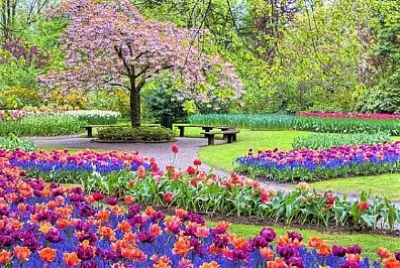 spring #283 jigsaw puzzle