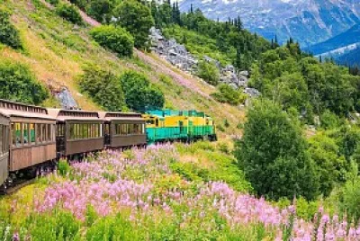 Tren jigsaw puzzle