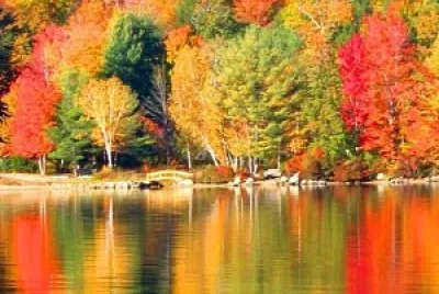 Walden