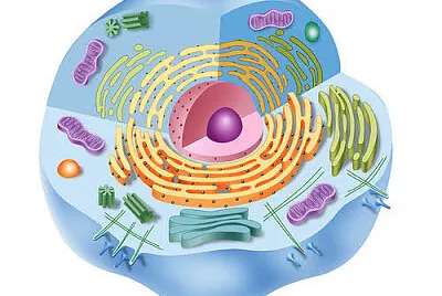 Biologia