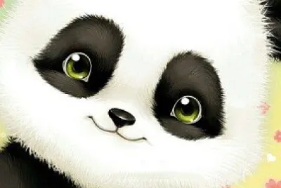 פאזל של oso panda