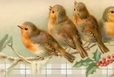 piopio