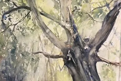 פאזל של arbre FB