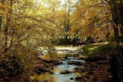 automne