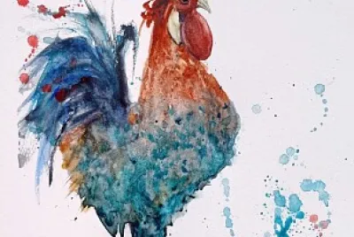 Coq aq.FB