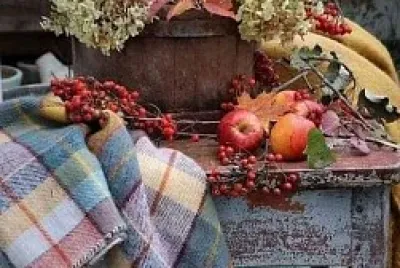 flores