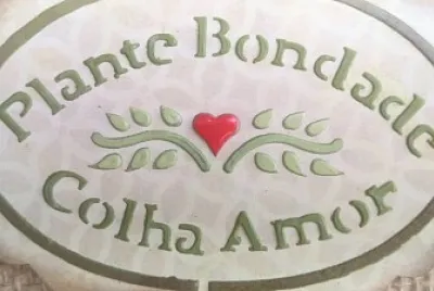 bondade