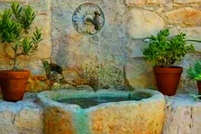 jardín