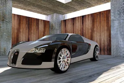Toy