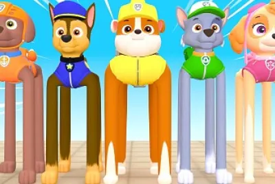 פאזל של 
