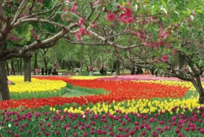 Natureza jigsaw puzzle