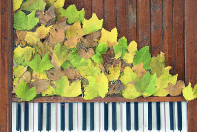 Piano made of leaves