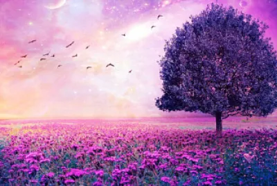 paisaje