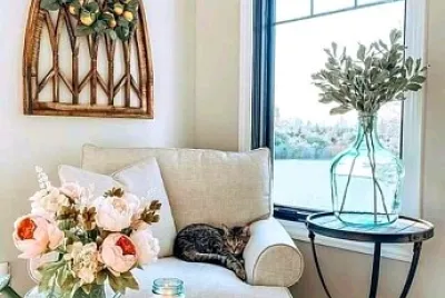 gato