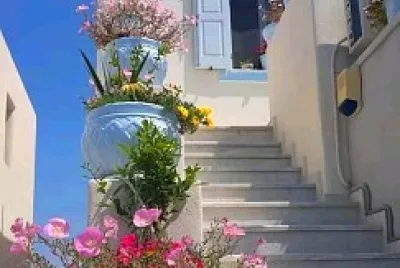 flores
