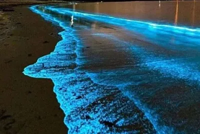 Eu