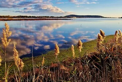 Etang de Thau France