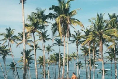 Islander with palms