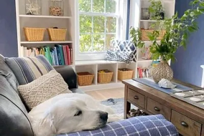 perro