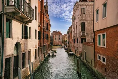 Toy