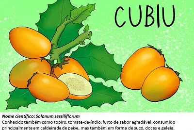Frutos típicos da região Amazônica