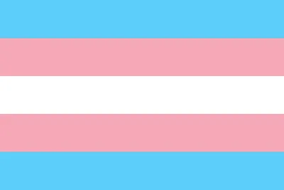 Transgender Flag