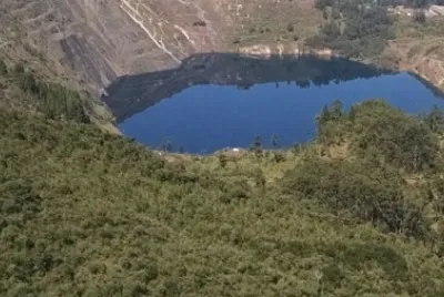 Toy