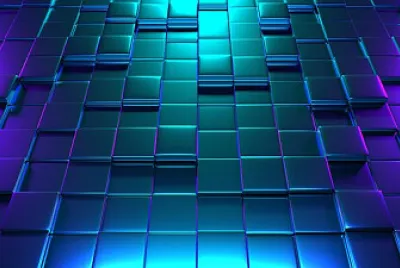 Toy