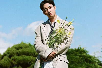 d.o puzzle