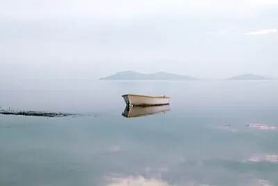 Toy