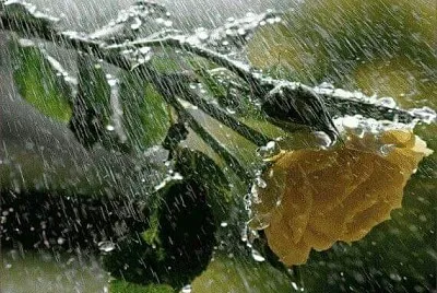 lluvia