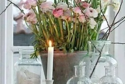 vela
